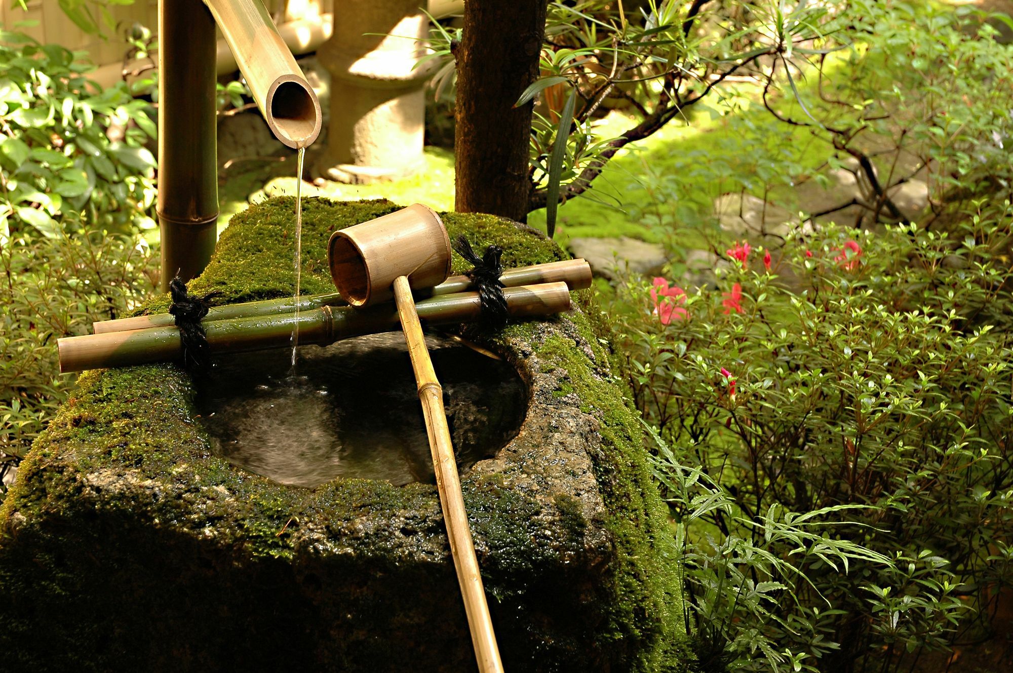 Ryokan Motonago Kyōto Exterior foto